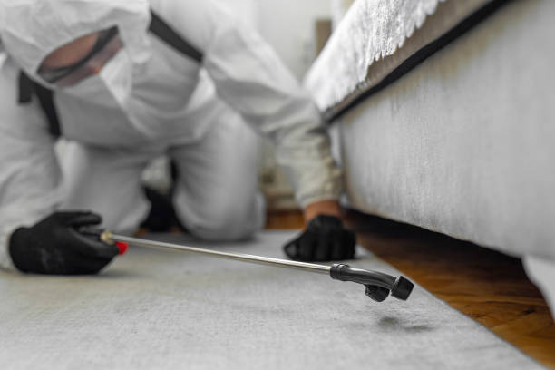 Professional Bed Bug Control technician working in Leake County County, MS